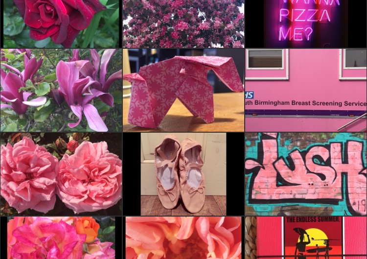 my-year-in-colour-pink-snapshot
